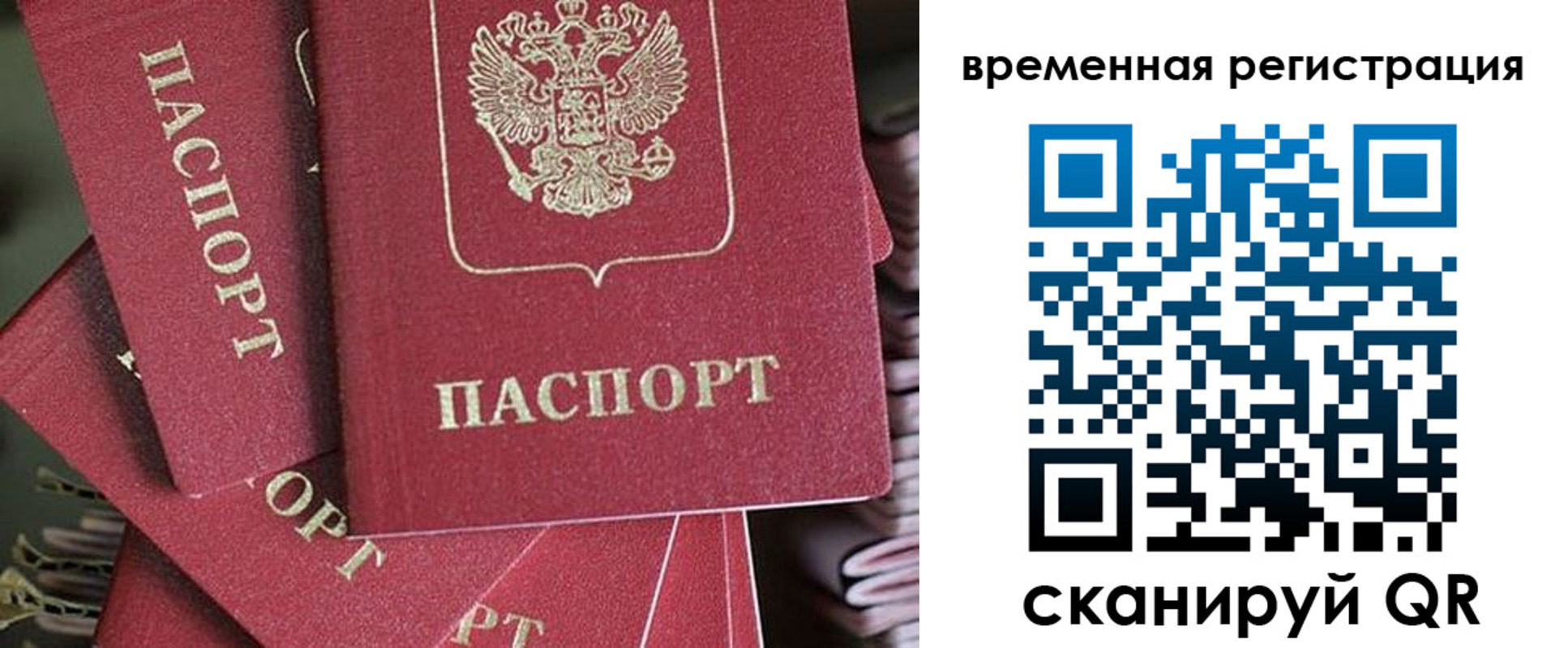 прописка в квартире в Амурской области
